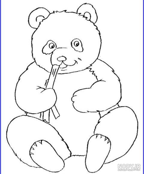 پاندا🐼🐾 - عکس ویسگون پاندا🐼🐾 - عکس ویسگون