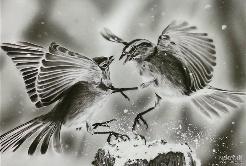 علی جانپور | نقاشی سیاه قلم چهره‎ (@ali.jnpor_art) • Instagram photos and  videos