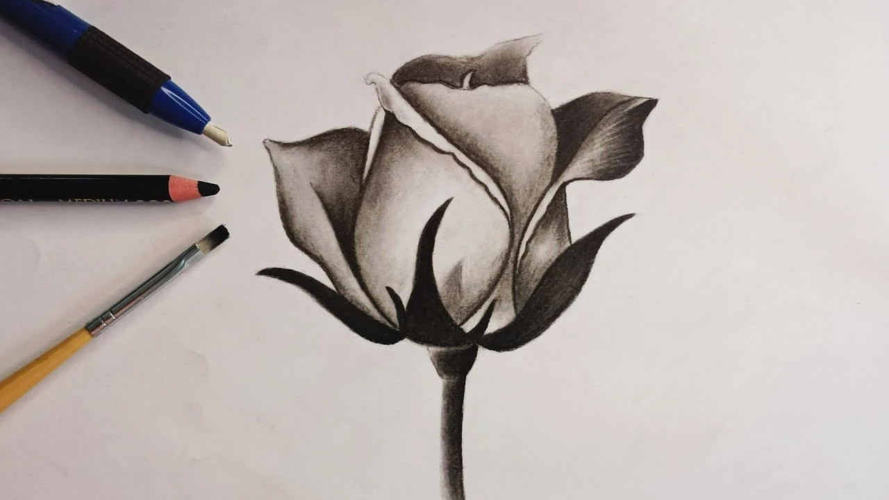 نقاشی قو برای کودکان؛ زیباترین طرح‌های کودکانه برای رنگ آمیزی - ستاره