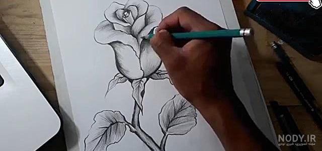 نقاشی گل با مداد رنگی نقاشی گل با مداد رنگی
