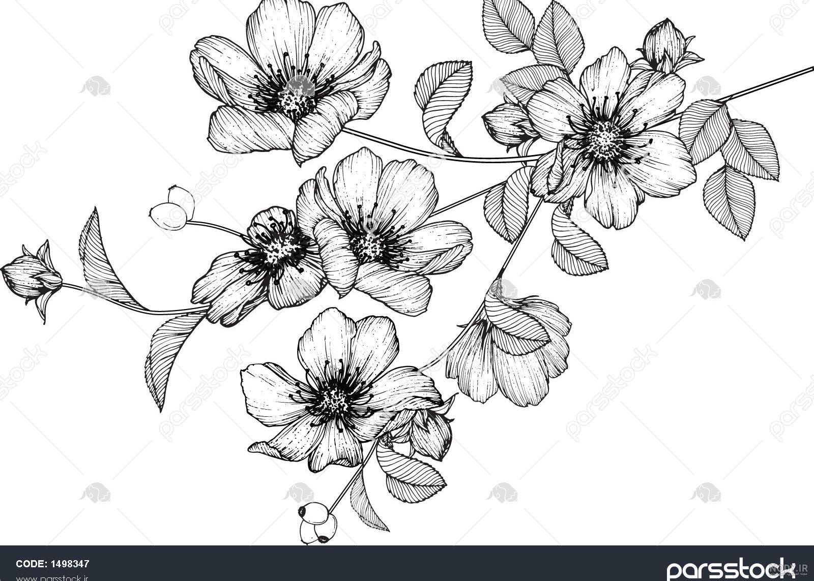 نقاشی گل برای خط تقارن