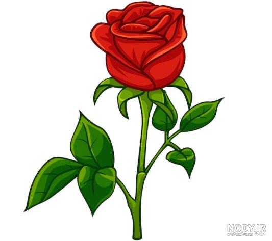 نقاشی گل. رز قرمز حرفه ای