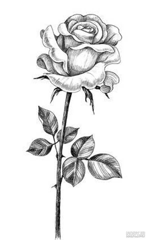 نقاشی گل زشت و زیبا