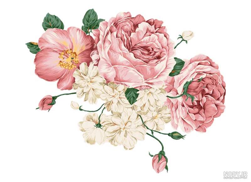 نقاشی گل سوسن ساده