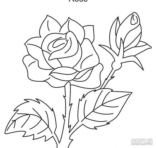 نقاشی گل چهار پر - عکس نودی