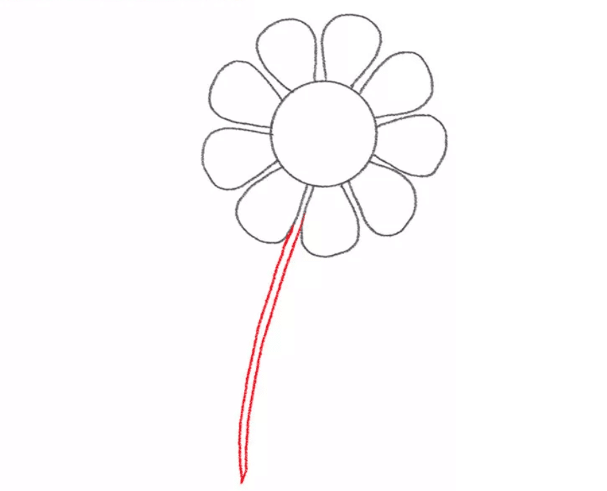 نقاشی یک گل پنج برگ