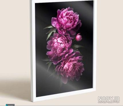 گالری عکس گل پژمرده و غمگین برای پروفایل - ستاره