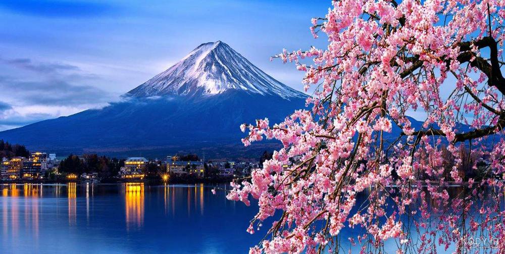 گیاهان فراگیر در نقاشی ژاپن و پیوستگی آن با باورهای مردمان این سرزمین، بخش  نخست - ارثنگ (Arthang)