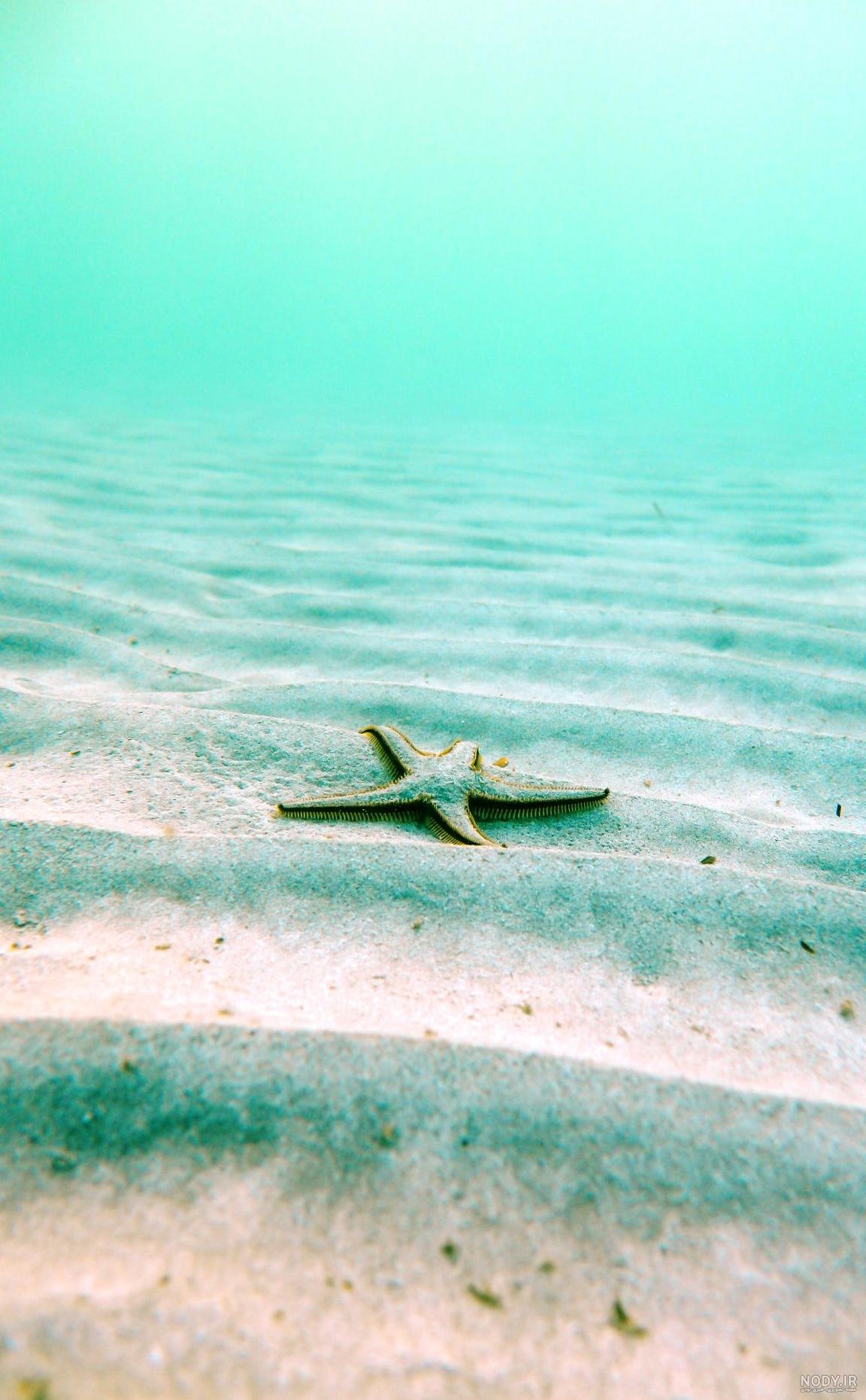 عکس خفن 85 عکس پروفایل آبی ساده