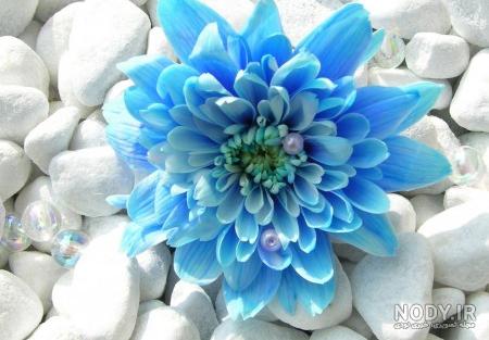 عکس خفن 85 عکس پروفایل آبی ساده