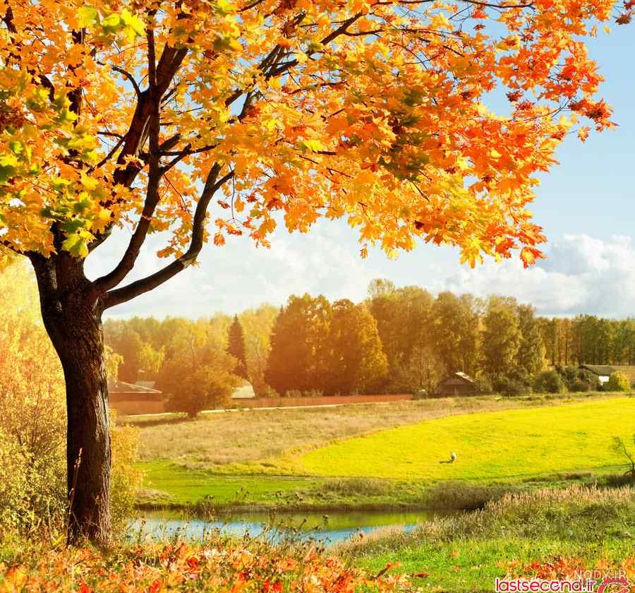 تصاویر پاییزی 1401 | تصاویر پاییزی برای پروفایل | تصاویر پاییزی ...