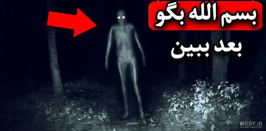 عکس های ترسناک جنگل