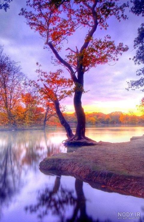 عکس زیبای پاییزی برای صفحه گوشی - عکس نودی