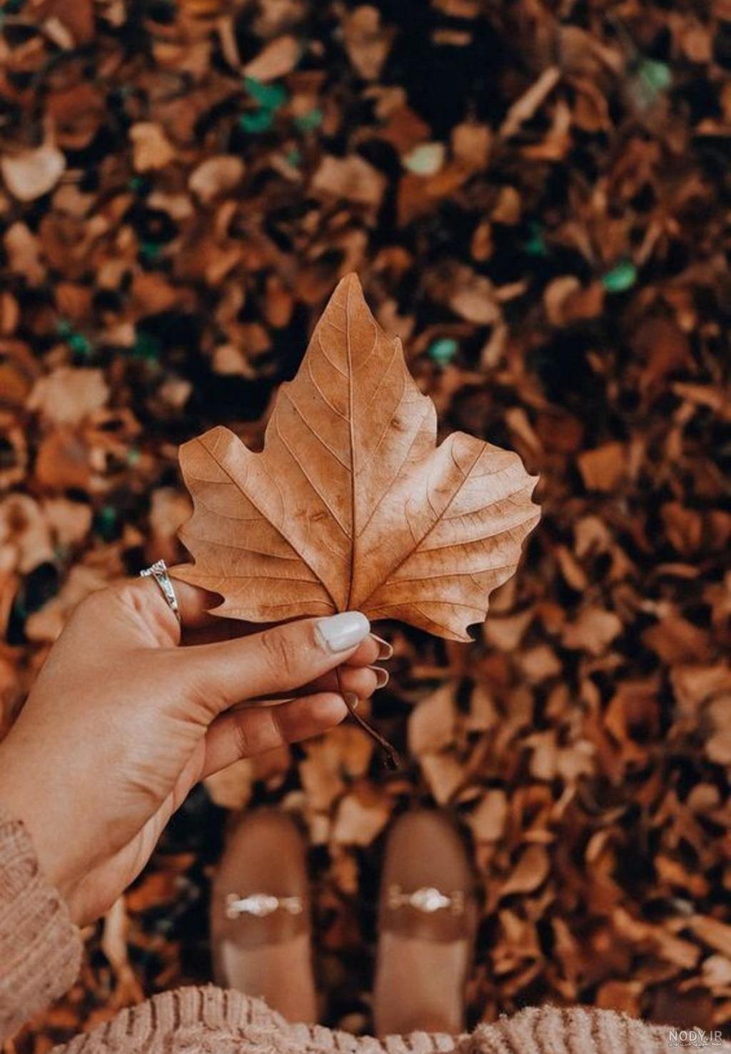 عکس زیبای پاییزی برای صفحه گوشی - عکس نودی عکس زیبای پاییزی برای صفحه گوشی - عکس نودی