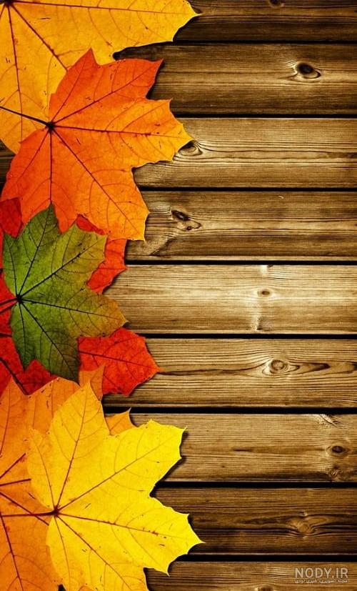 عکس پاییزی برای پس زمینه گوشی