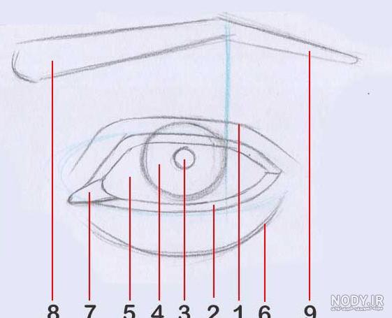 نقاشی دخترانه سیاه قلم دایره
