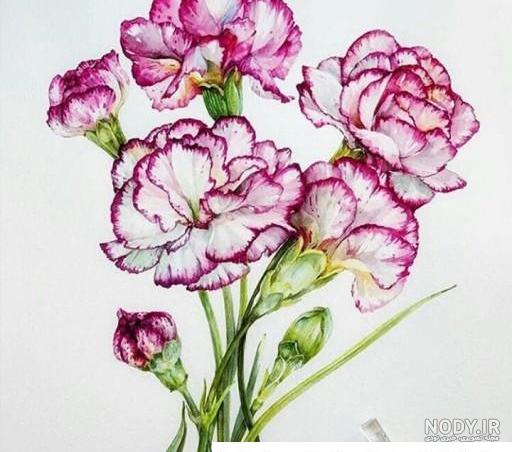 گل - صفحه 2 از 3 - پنجره ای به دنیای کودکان گل - صفحه 2 از 3 - پنجره ای به دنیای کودکان