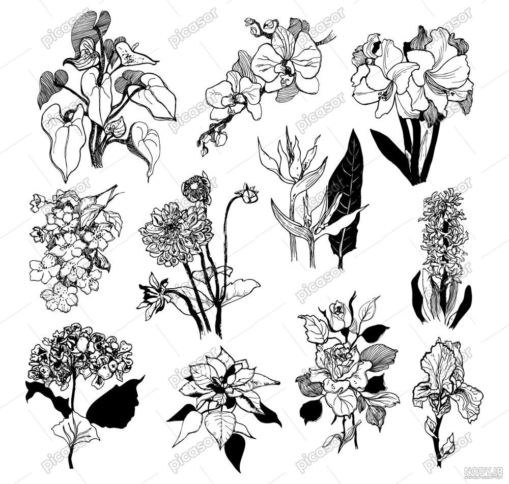نقاشی دسته گل گل رز