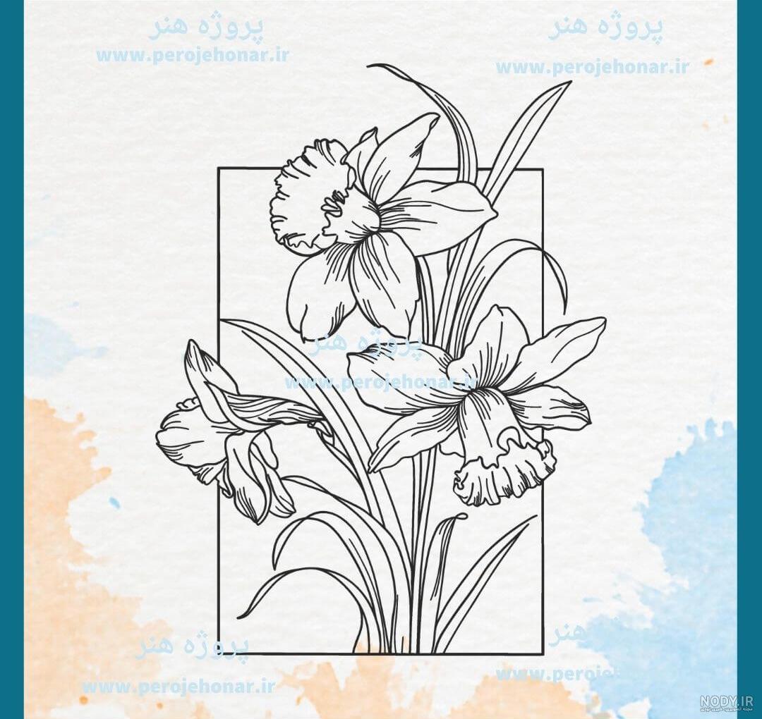 نقاشي گل نرگس
