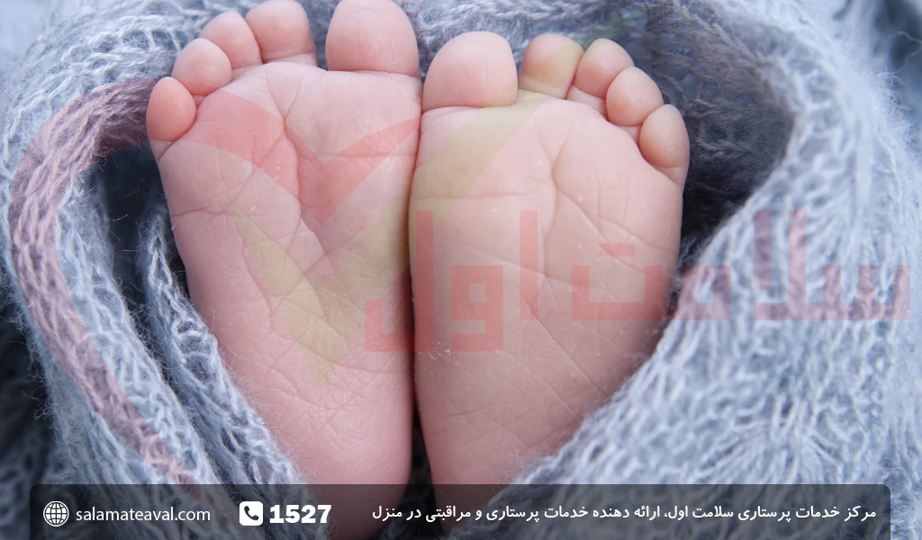 پای نوزاد تازه متولد شده 1393932