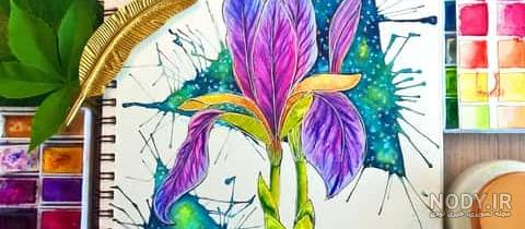 خرید و قیمت نقاشی آبرنگ طرح گل زنبق از غرفه گالری یاس💜 خرید و قیمت نقاشی آبرنگ طرح گل زنبق از غرفه گالری یاس💜