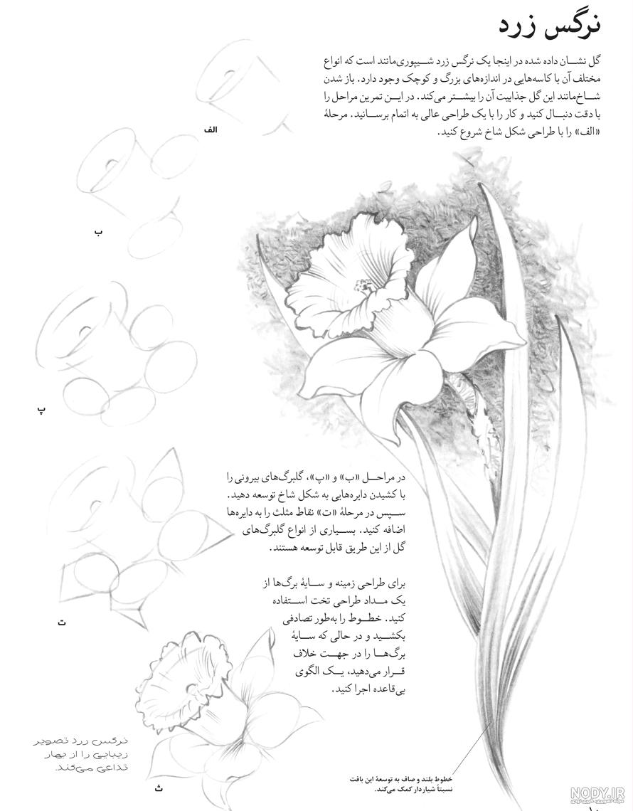 دانلود فیلم آموزش نقاشی برگ - الگو ایرانی