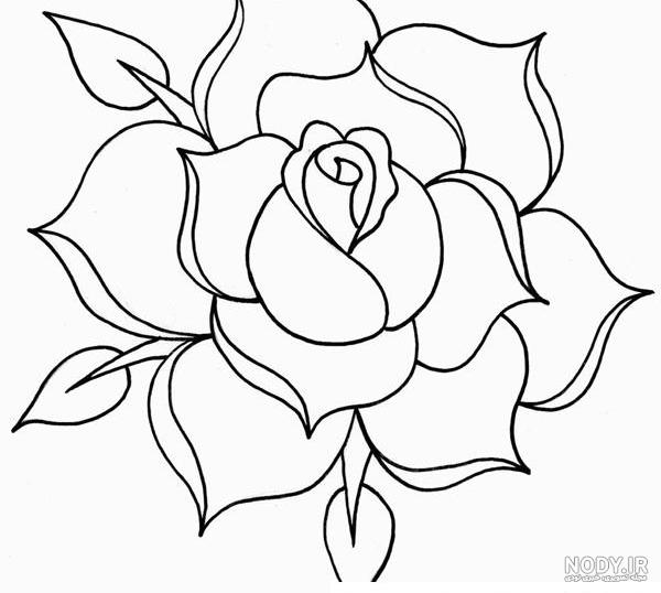 عکس نقاشی گل لاله بزرگ عکس نقاشی گل لاله بزرگ