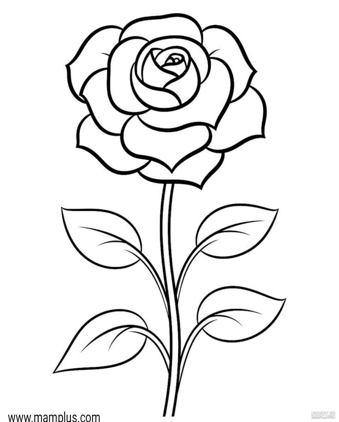 نقاشی عکس گل رز