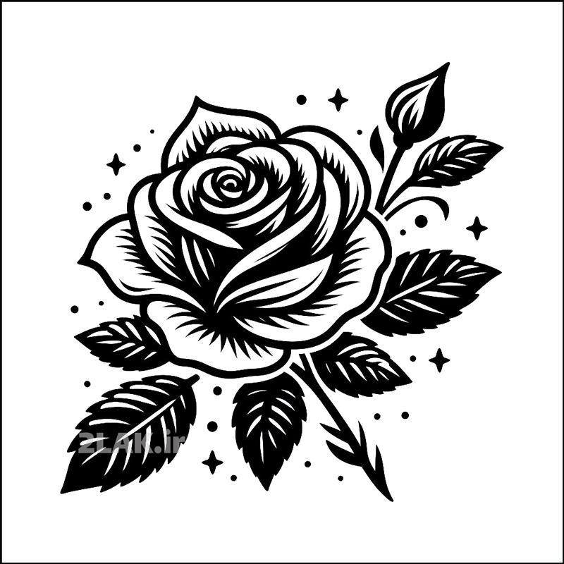 نقاشی عکس گل رز ساده