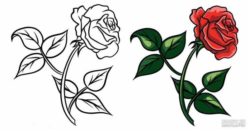 نقاشی عکس گل رز قرمز