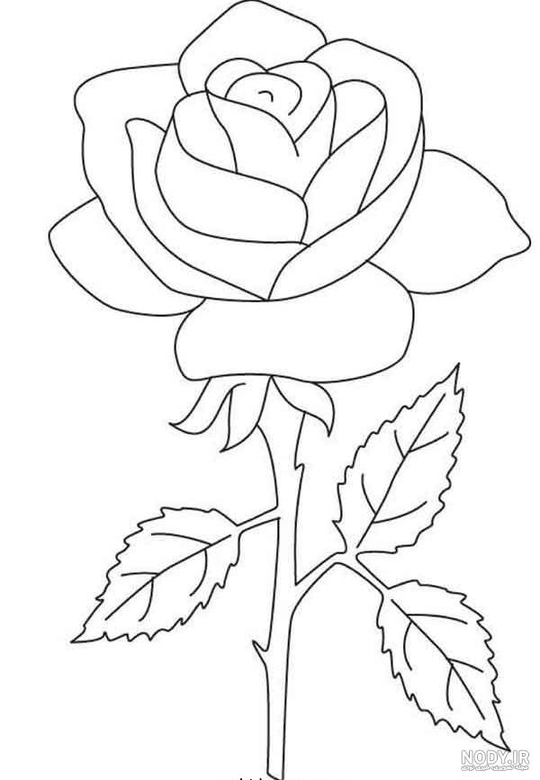 نقاشی کارتونی گل رز