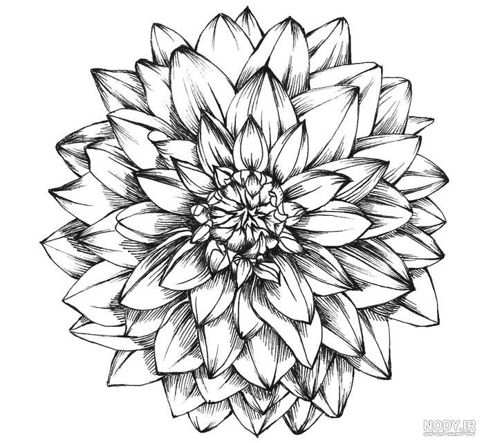 نقاشی گل : 50 طرح گل برای رنگ آمیزی کودکان