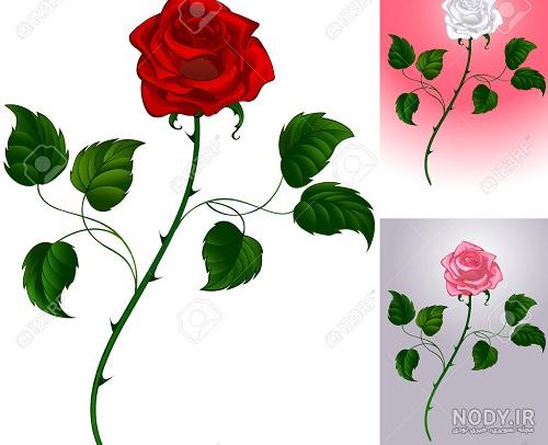 نقاشی گل رز سخت با مداد رنگی
