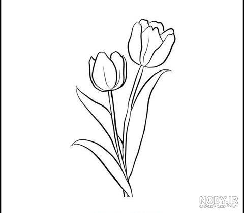 نقاشی گل رز قرمز با مداد رنگی - عکس نودی