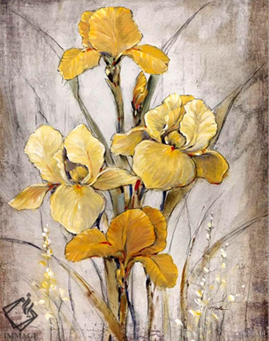 نقاشی گل زنبق ساده