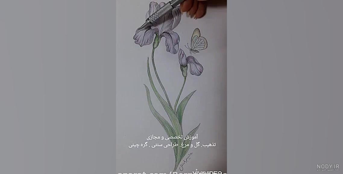 نقاشی گل زنبق کودکانه نقاشی گل زنبق کودکانه