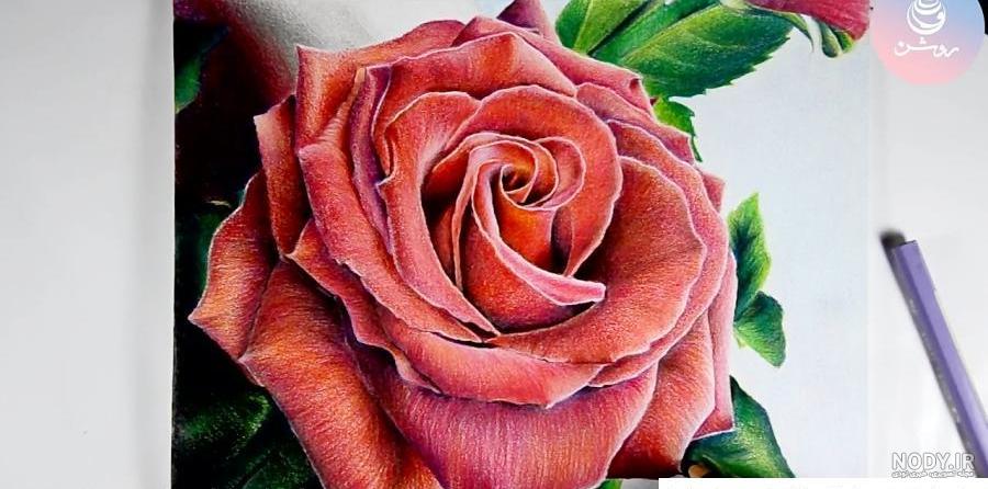 نقاشی گل ساده با مداد رنگی