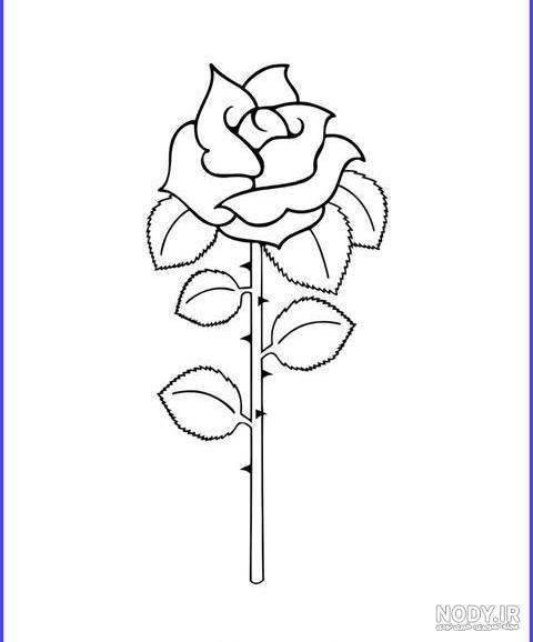 نقاشی گل سخت رنگی