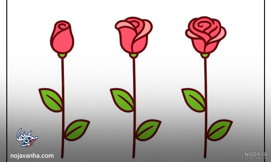 نقاشی گل قرمز خوشگل