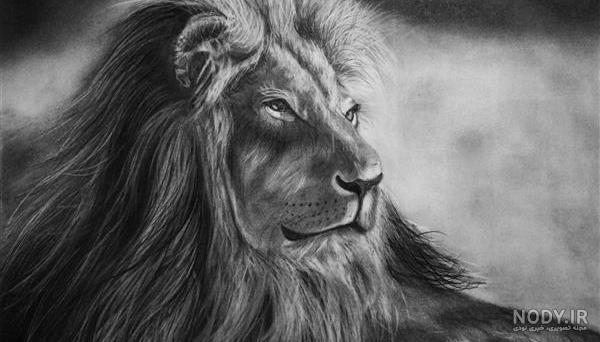 خرید و قیمت تابلو تصویر ببر .سیاه قلم . هایپررئال. در اندازه 50×70 . | ترب