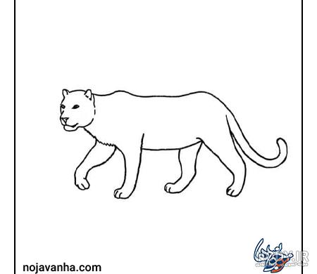 خرید و قیمت تابلو نقاشی سیاه قلم طرح یوزپلنگ کد 7789