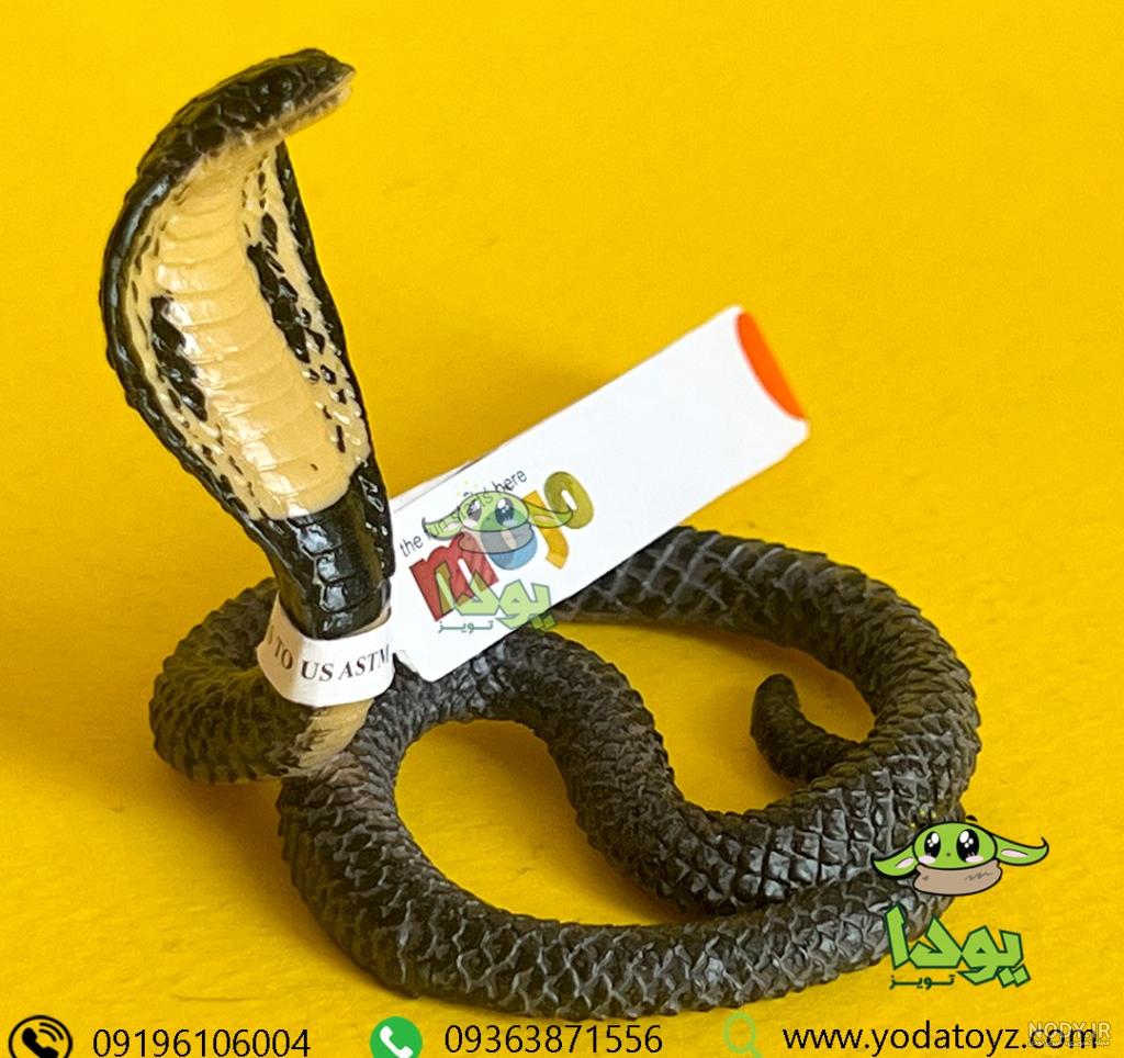 عکس بزرگترین مار کبری در جهان
