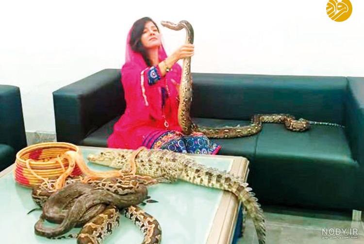 عکس مار شیر