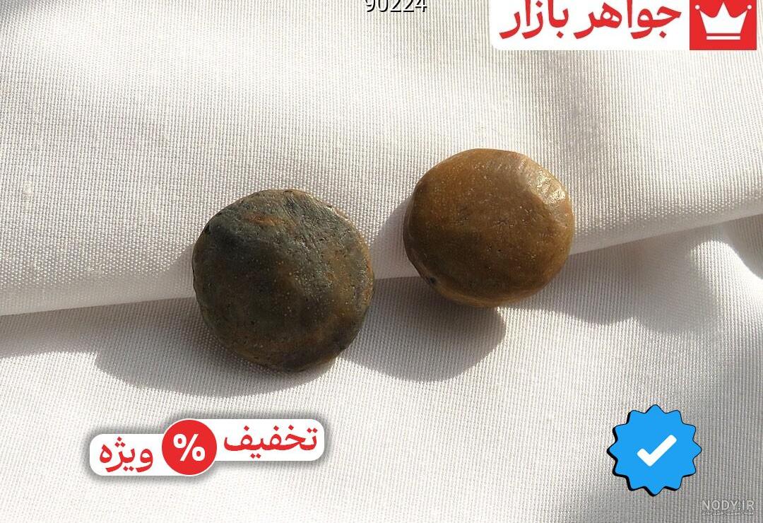 عکس مهره مار مامبای سیاه - عکس نودی عکس مهره مار مامبای سیاه - عکس نودی