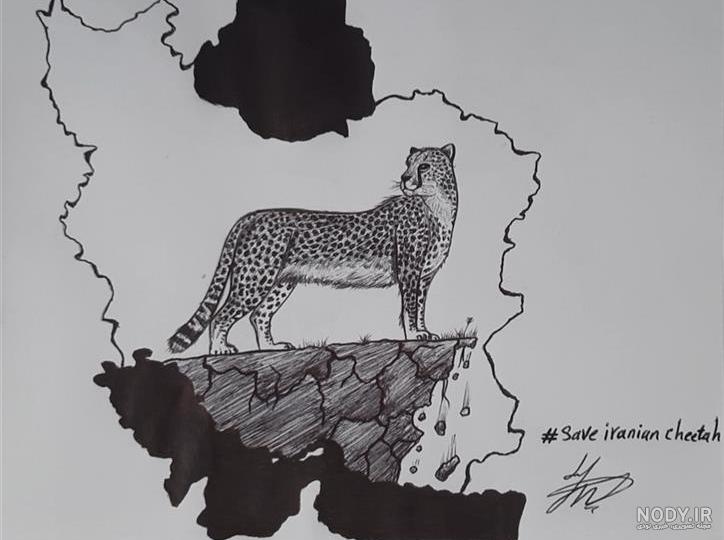 عکس نقاشی سیاه قلم گاو - دانلود رایگان