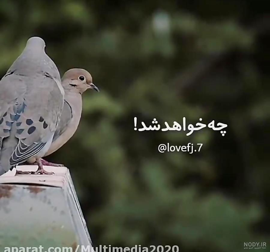 عکس نوشته هایی در مورد خدا (6)