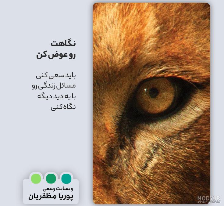 عکس پروفایل شیر ❣️ [جذاب و خشن و درجه یک] + عکس خفن شیر