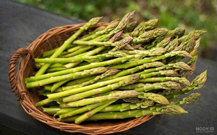 مارچوبه - ویکی‌پدیا، دانشنامهٔ آزاد