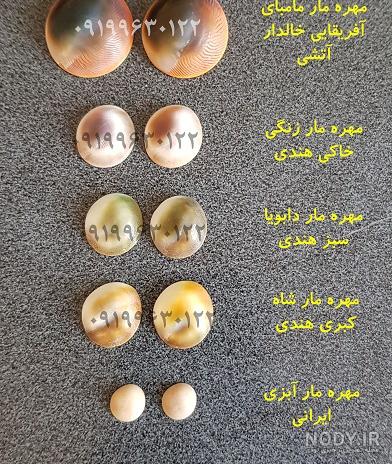 مهره مار و بررسی صحت اصل بودن آن❤️ از مهره مار چه استفاده‌هایی میشود؟