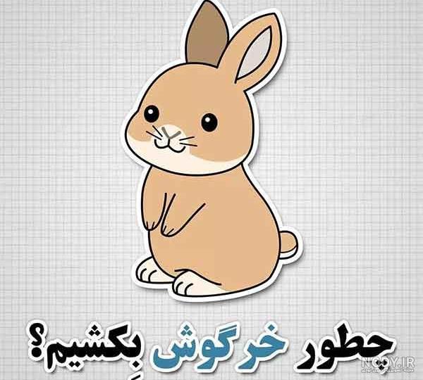 نقاشی خرگوش ساده - عکس نودی نقاشی خرگوش ساده - عکس نودی